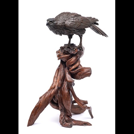 Akasofu Gyoko, A Bronze Study Of An Eagle Perched On A Twisted Root Wood Stand